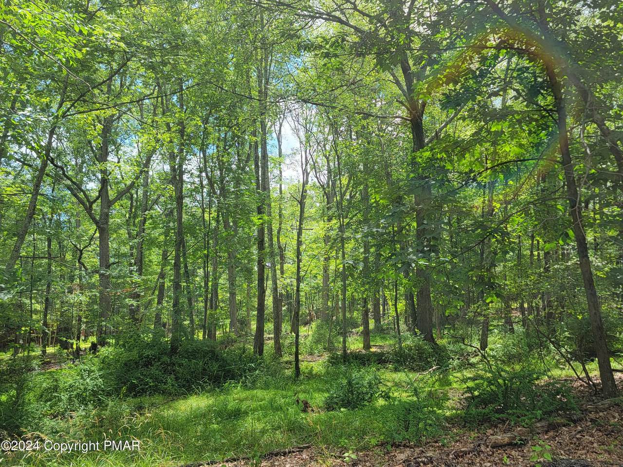 103 Brent Road - Photo 1