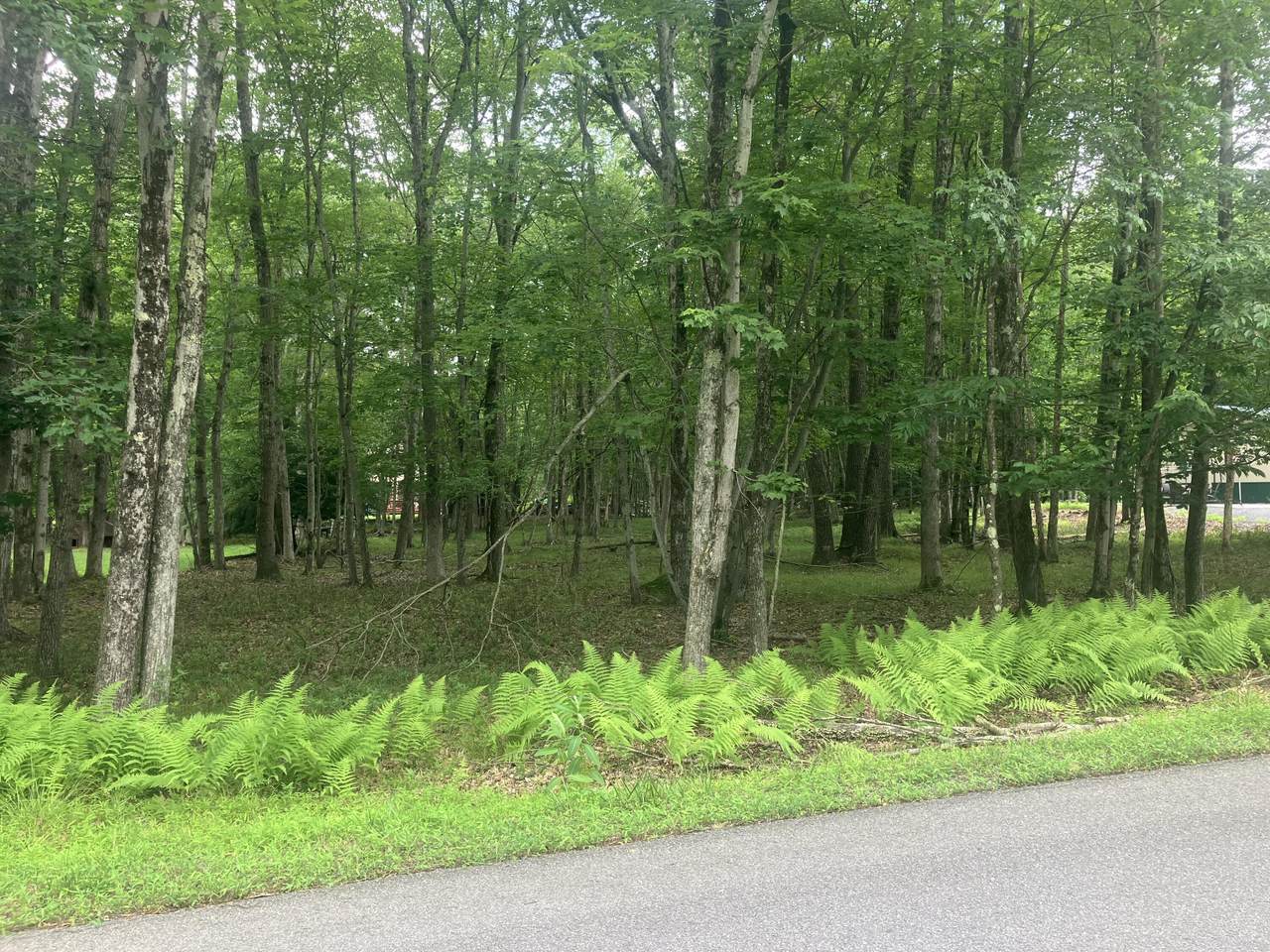  Elliot Lane - Photo 1