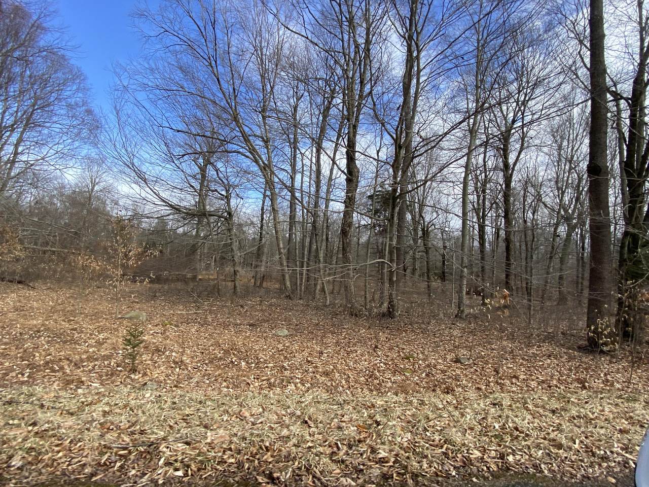 https://bt-photos.global.ssl.fastly.net/pocono/1280_boomver_2_PM-130278-2.jpg