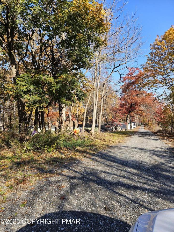 314 Nathan Lane - Photo 1