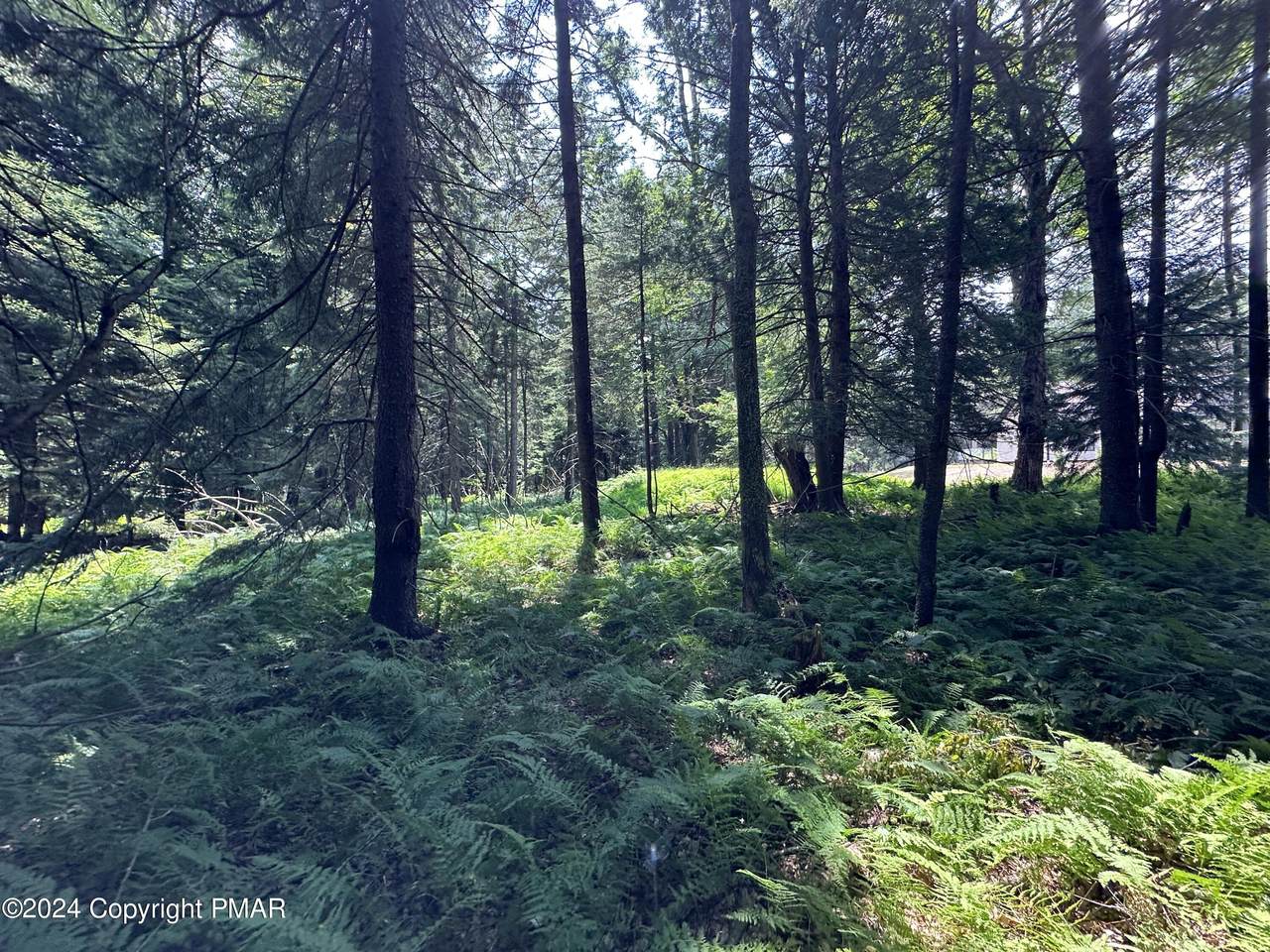 1127 Sawmill Rd 1127 Road - Photo 1