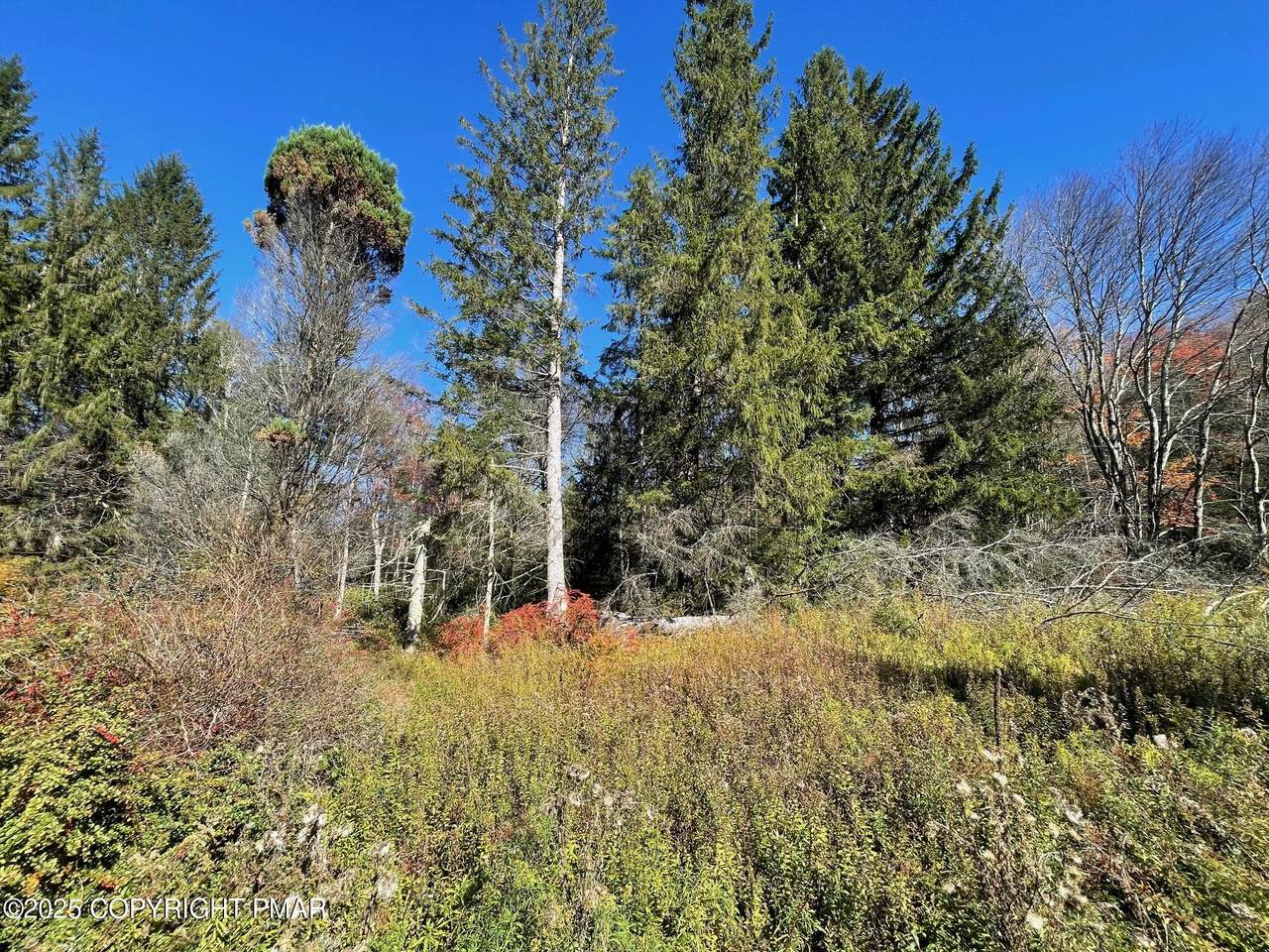 A13.19 Mud Run Lane & Henning Road - Photo 1