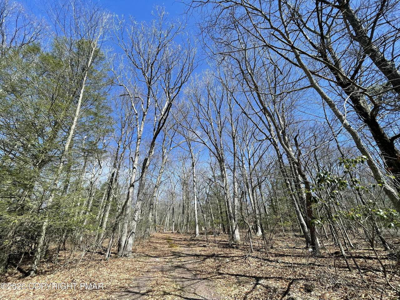 134 Maple Drive - Photo 1