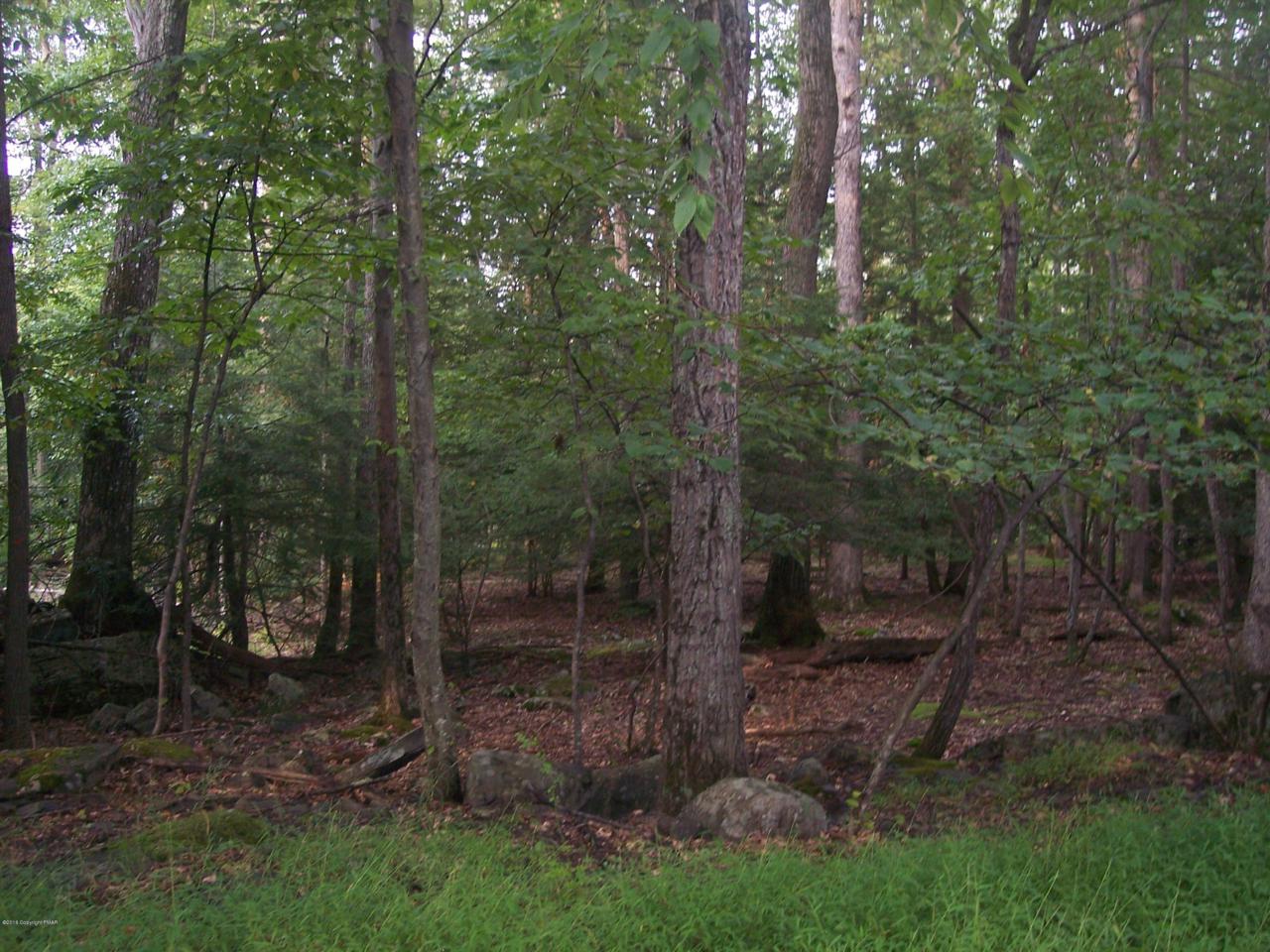 69 Skyline Drive - Photo 1