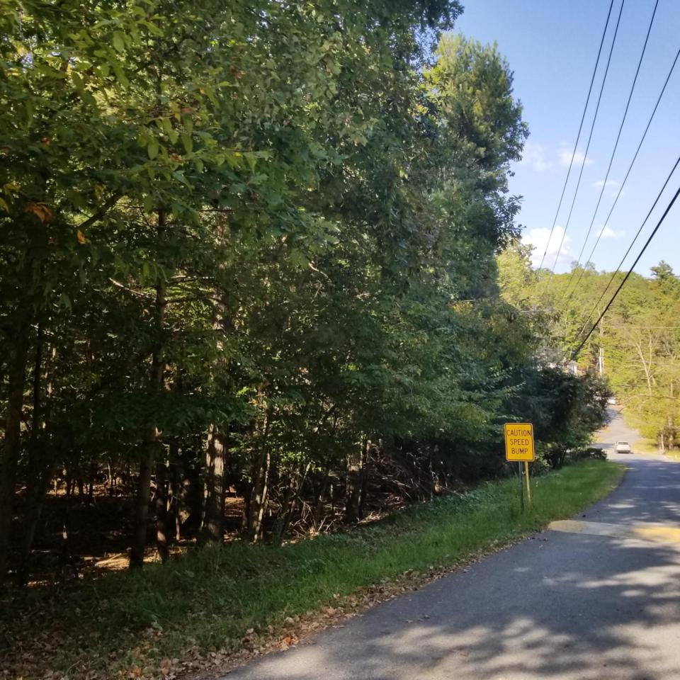 #79 Woodcrest Dr - Photo 1