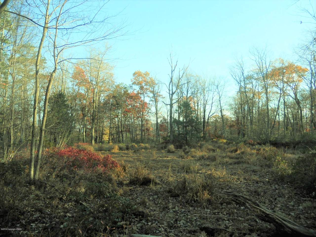 45024 Sullivan Trail - Photo 1