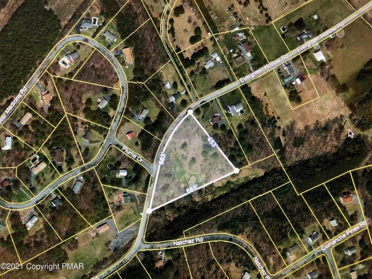25 Evergreen Hollow Rd. - Photo 1
