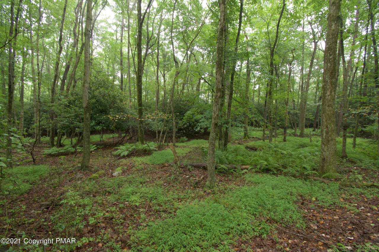 Lot 31LAN Bear Creek Lake Dr - Photo 1
