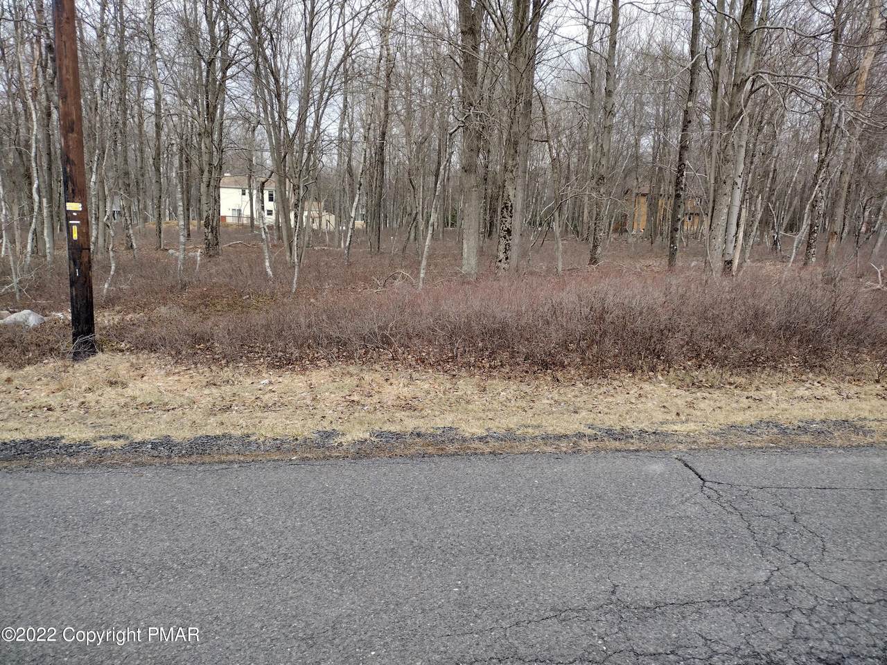 33 Forest Hill Drive - Photo 1