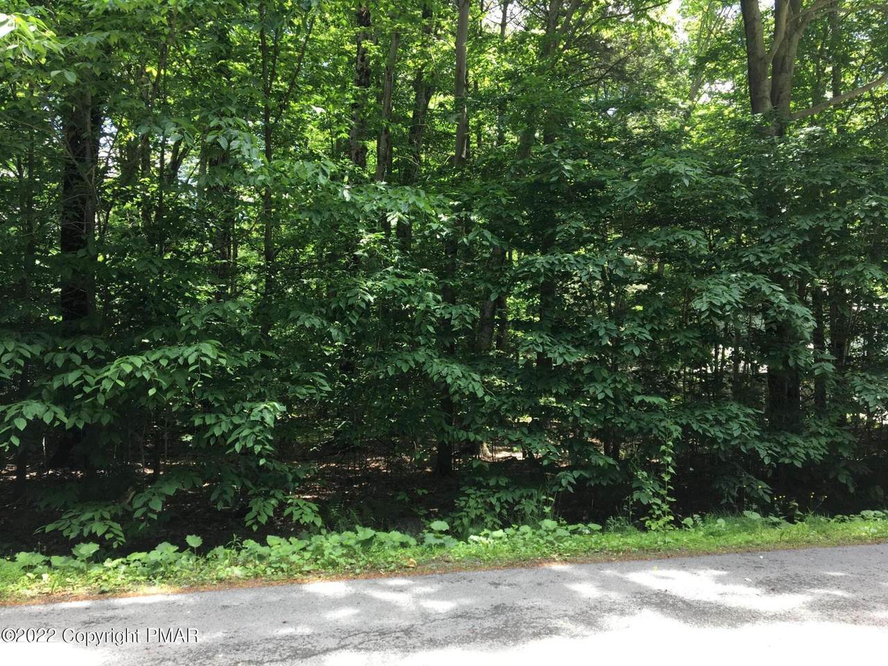 13, 14 Sweet Briar Road - Photo 1