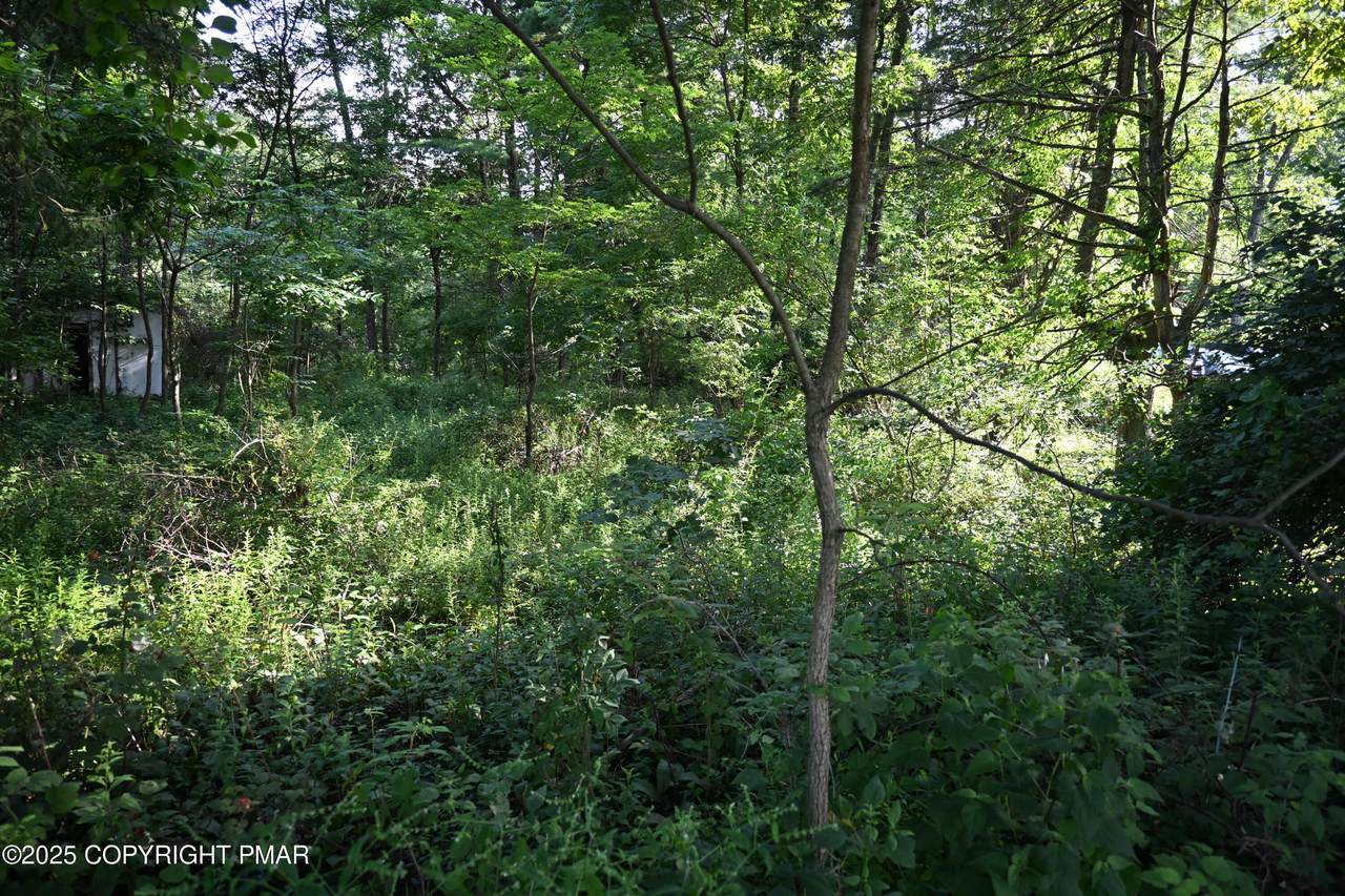 1463 9th Street - Photo 1