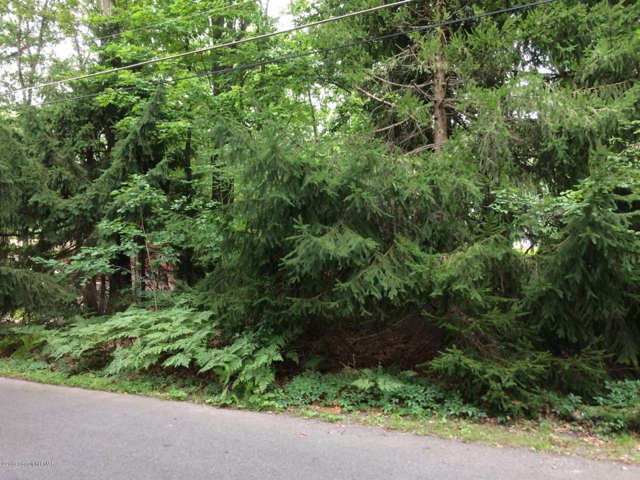 LOT on White Oak Rd - Photo 1