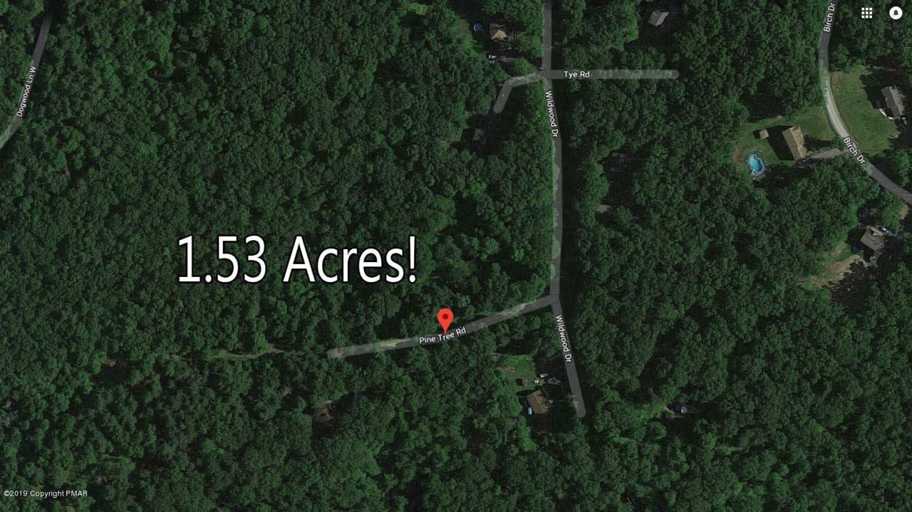 Pine Tree Rd #35 - Photo 1