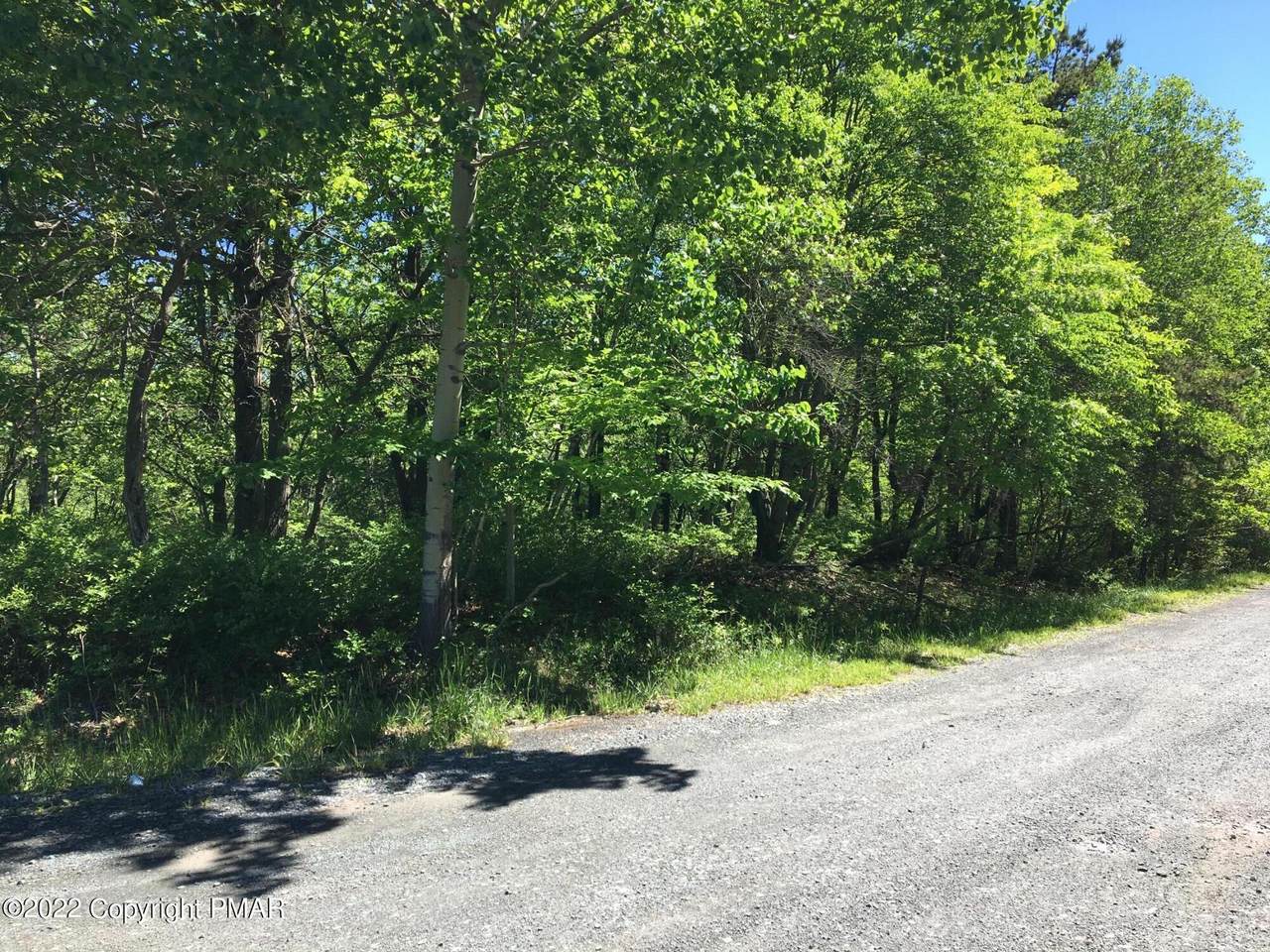 7139 Country Court - Photo 1