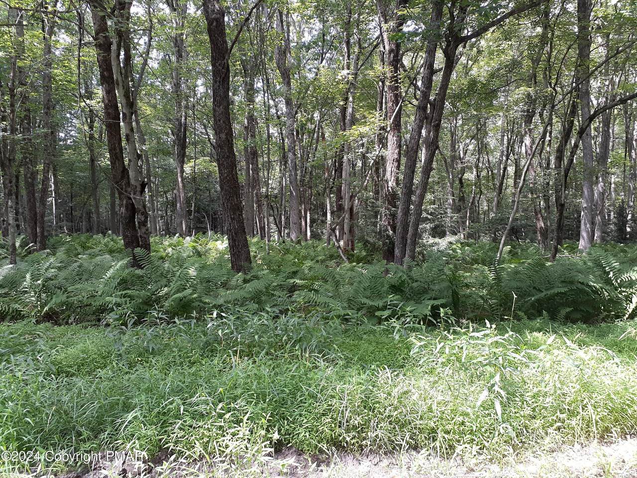 A141 Rosewood Drive - Photo 1