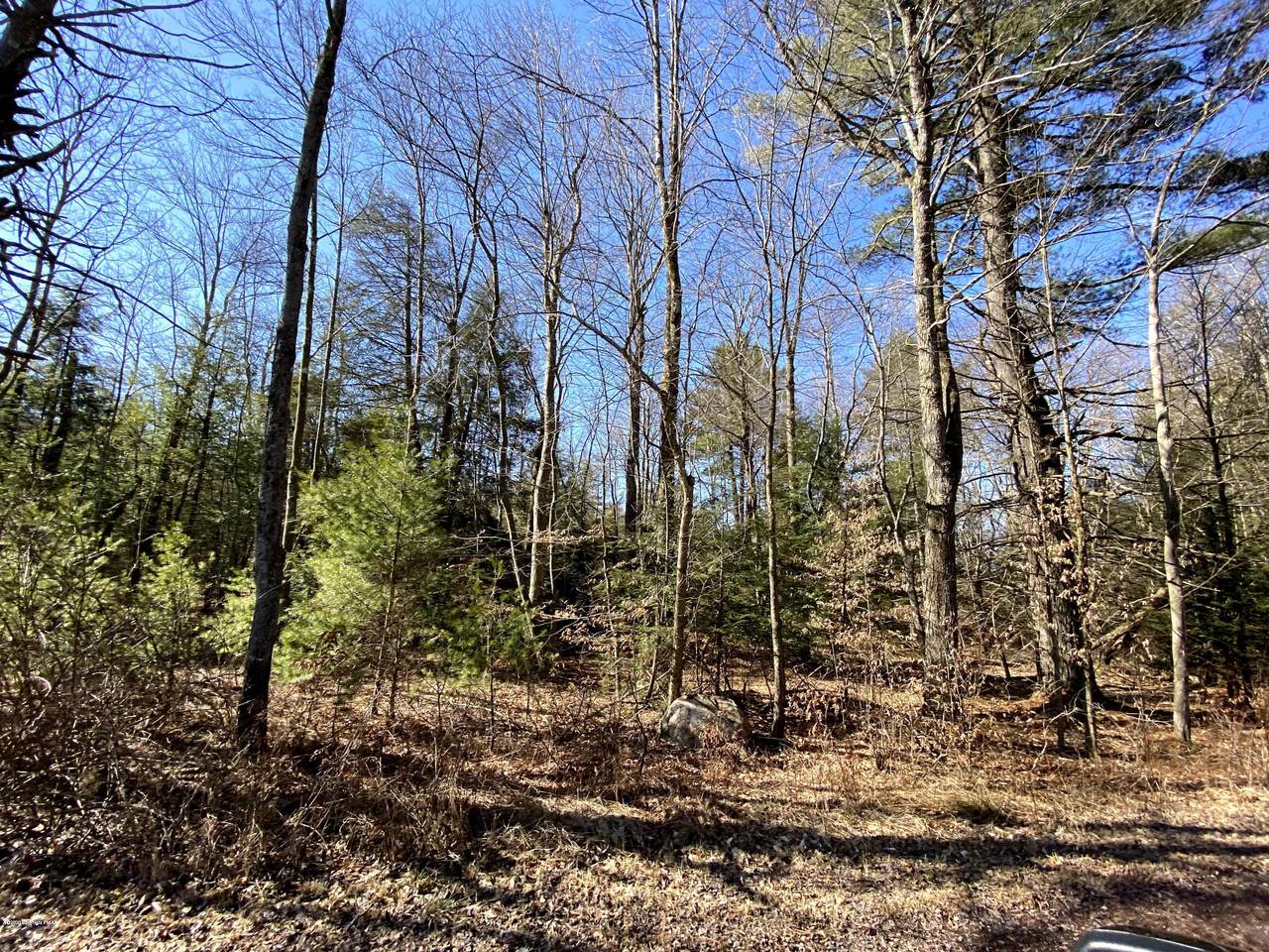 19 Cranberry Dr - Photo 1