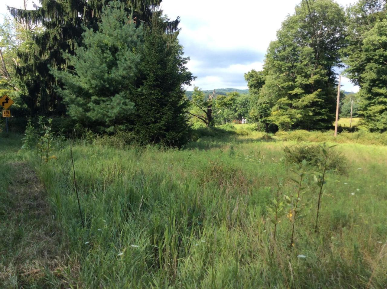 45070 Golf Drive - Photo 1