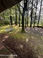 122 Barn Swallow Lane - Photo 41