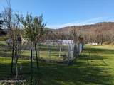 1553 Middle Road - Photo 63