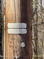 63 Ridge Road - Photo 5