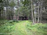 30 Blue Sky Path - Photo 15