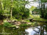 4689 Buck Lane - Photo 41