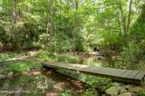 4689 Buck Lane - Photo 9