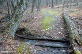  Hidden Hollow - Photo 14
