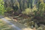 1855 Delaware Drive - Photo 40