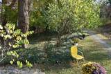 1855 Delaware Drive - Photo 41