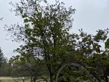 1067 Cottontail Road - Photo 80