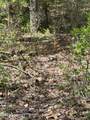  Haney Road - Photo 7