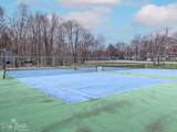 8066 Red Squirrel Drive - Photo 47
