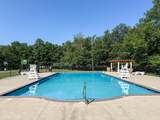8066 Red Squirrel Drive - Photo 64