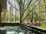 1584 Mountain Lake Drive - Photo 15