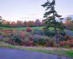 355 Windy Bush Road - Photo 57
