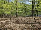 146 Cove Point Circle - Photo 99