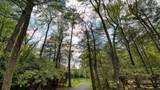 119 Shore Drive - Photo 73
