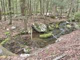 233 Vista Road - Photo 84