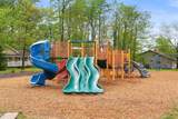 8337 Shannon Drive - Photo 50