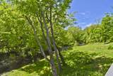 1104 Buttermilk Falls Road - Photo 54