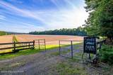 295 Hty Road - Photo 46