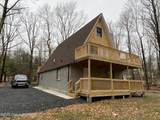241 Pine Tree - Photo 3