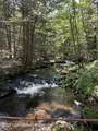 167 Route 191 - Photo 7