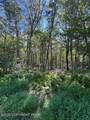 Lot 20ALAS Piney Woods Drive - Photo 2