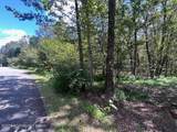 Lot 20ALAS Piney Woods Drive - Photo 3