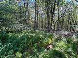 Lot 20ALAS Piney Woods Drive - Photo 4