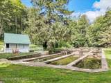 3585 Fairyland Road - Photo 88