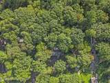137 Chicola Lake South Trail - Photo 64
