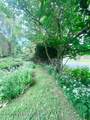 1153 Milford Road - Photo 12